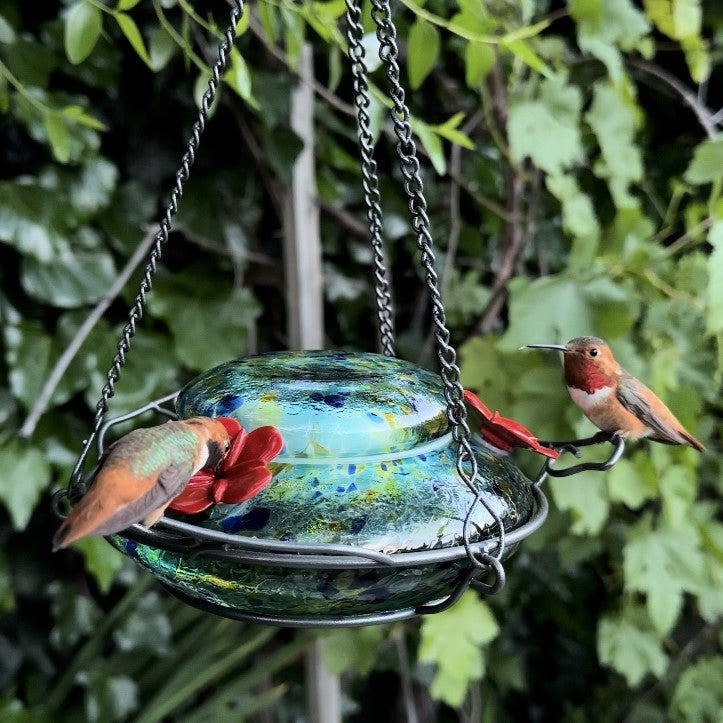 Best bird feeders for spring