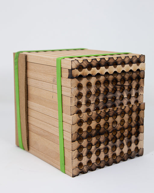 Load image into Gallery viewer, Spring Reusable Wood Trays for Mason Bees -8mm