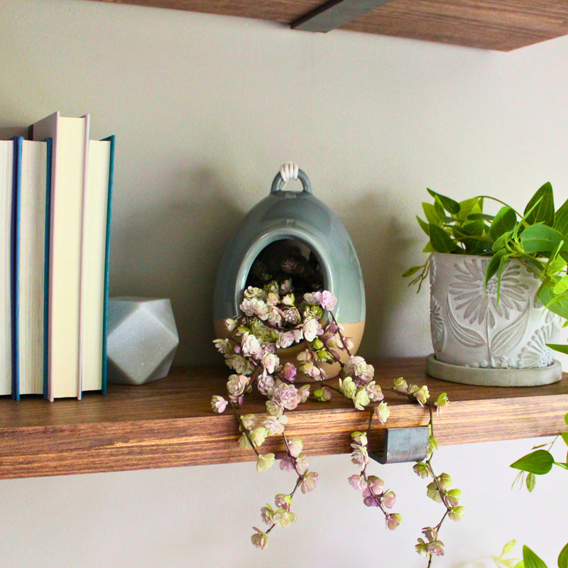 Load image into Gallery viewer, Planter & Perch Ceramic Fly Through Feeder and Planter
