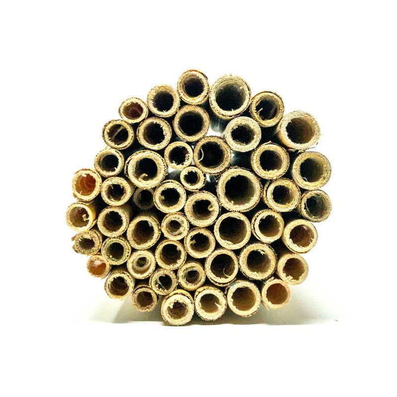 Load image into Gallery viewer, Spring Natural Reeds for Mason Bees - 8mm
