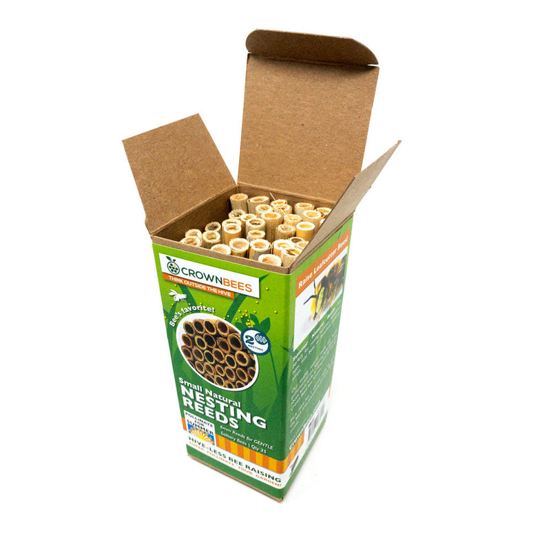 Load image into Gallery viewer, Summer Natural Reeds for Summer Leaf Bees - 6mm