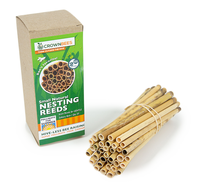 Load image into Gallery viewer, Summer Natural Reeds for Leafcutter Bees - 6mm
