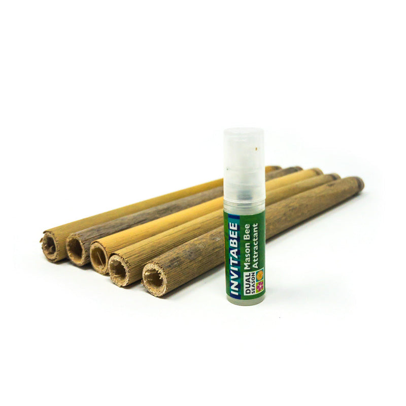 Load image into Gallery viewer, InvitaBee Mason Bee Attractant