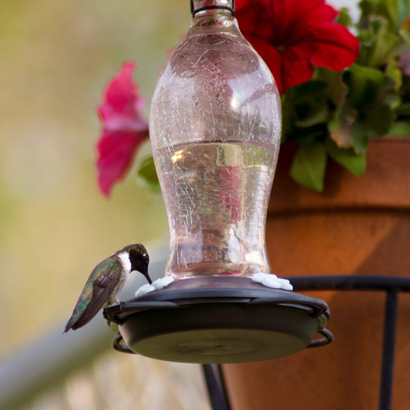 Load image into Gallery viewer, Blush Crackle Artisan Glass Gravity Hummingbird Feeder