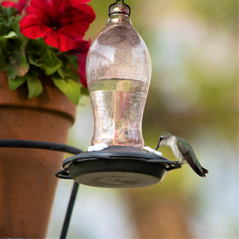 Load image into Gallery viewer, Blush Crackle Artisan Glass Gravity Hummingbird Feeder