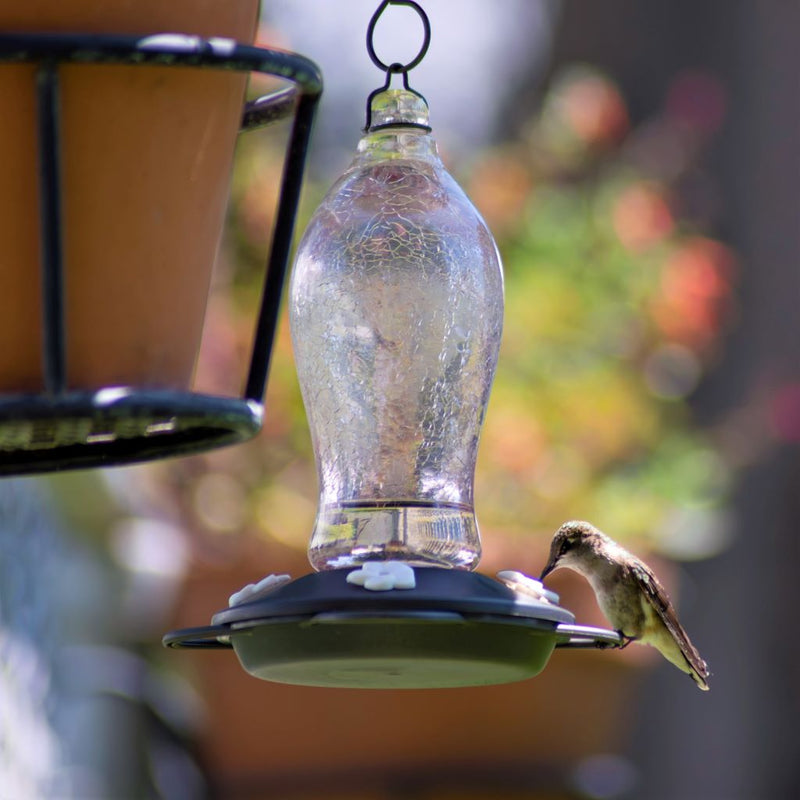 Load image into Gallery viewer, Artisan Gravity Hummingbird Feeder - Blush Crackle