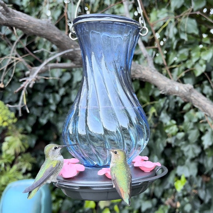 Load image into Gallery viewer, Perfect Pitcher Antique Glass Gravity Hummingbird Feeder