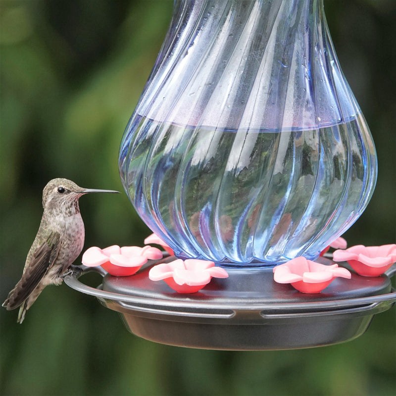 Load image into Gallery viewer, Perfect Pitcher Antique Glass Gravity Hummingbird Feeder