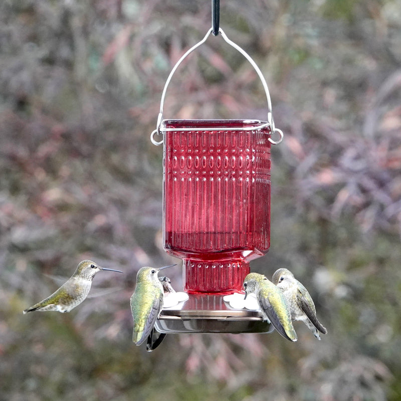 Load image into Gallery viewer, Crimson Carnation Antique Glass Gravity Hummingbird Feeder