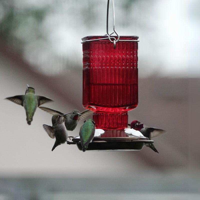 Load image into Gallery viewer, Crimson Carnation Antique Glass Gravity Hummingbird Feeder