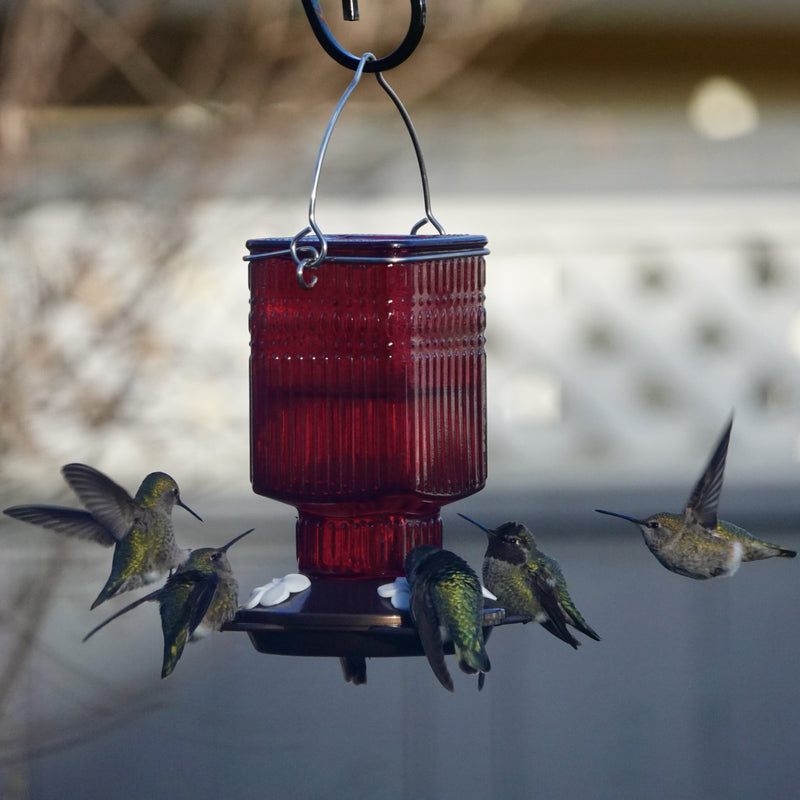 Load image into Gallery viewer, Crimson Carnation Antique Glass Gravity Hummingbird Feeder