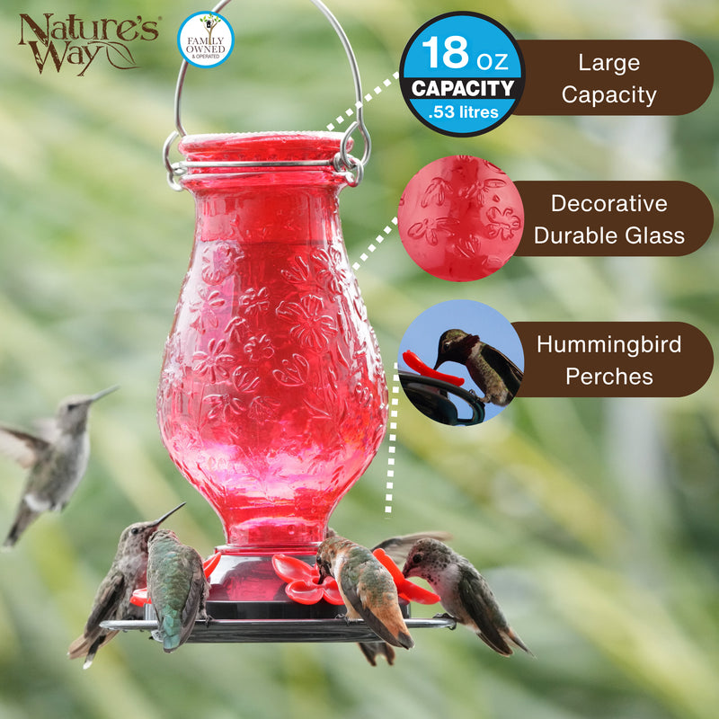 Load image into Gallery viewer, Vintage Charm Embossed Glass Hummingbird Feeder