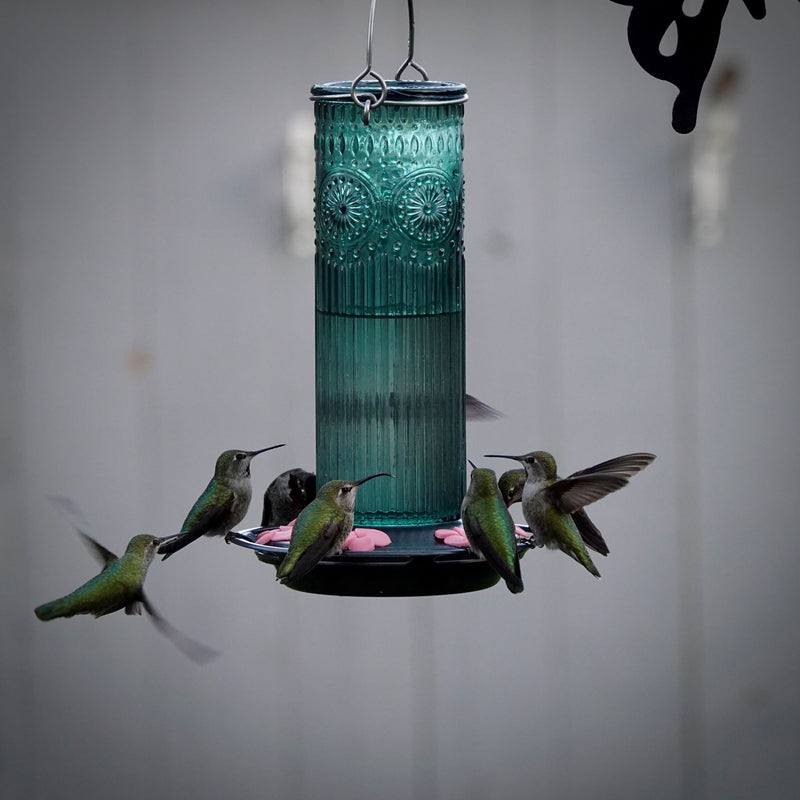 Load image into Gallery viewer, Antique Glass Gravity Hummingbird Feeder