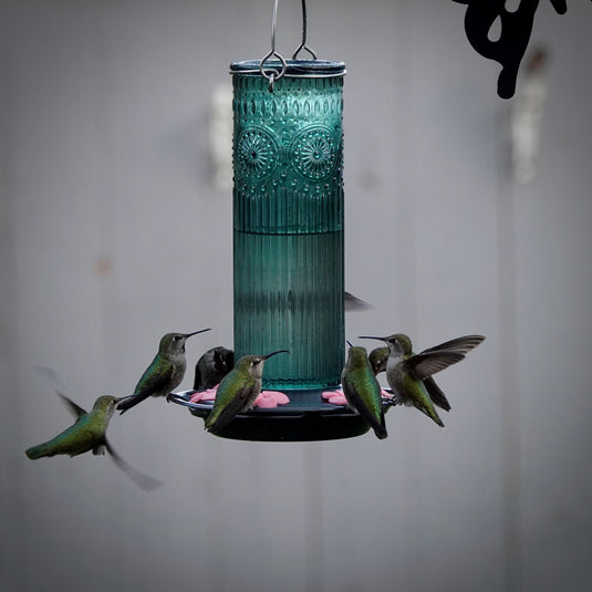 Antique Glass Gravity Hummingbird Feeder