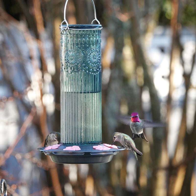 Load image into Gallery viewer, Antique Teal Glass Gravity Hummingbird Feeder