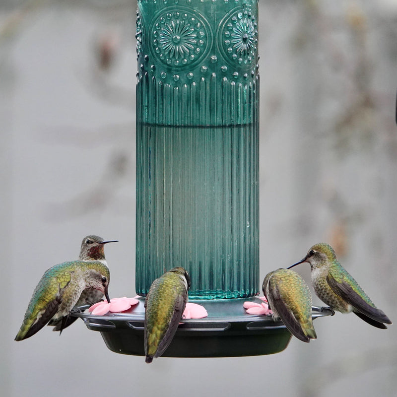 Load image into Gallery viewer, Antique Glass Gravity Hummingbird Feeder