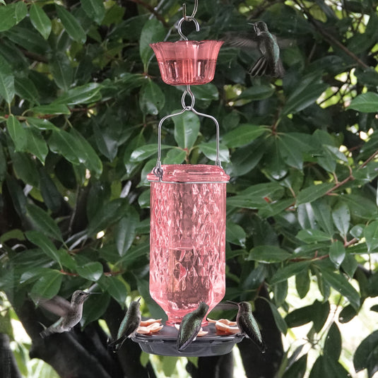 Rosewood Column Antique Glass Gravity Hummingbird Feeder with Ant Moat