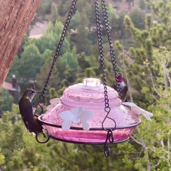 Load image into Gallery viewer, Plum Antique Glass Top-Fill Dish Hummingbird Feeder