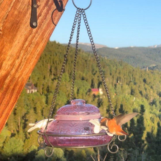 Load image into Gallery viewer, Plum Antique Glass Top-Fill Dish Hummingbird Feeder