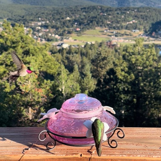 Load image into Gallery viewer, Plum Antique Glass Top-Fill Dish Hummingbird Feeder