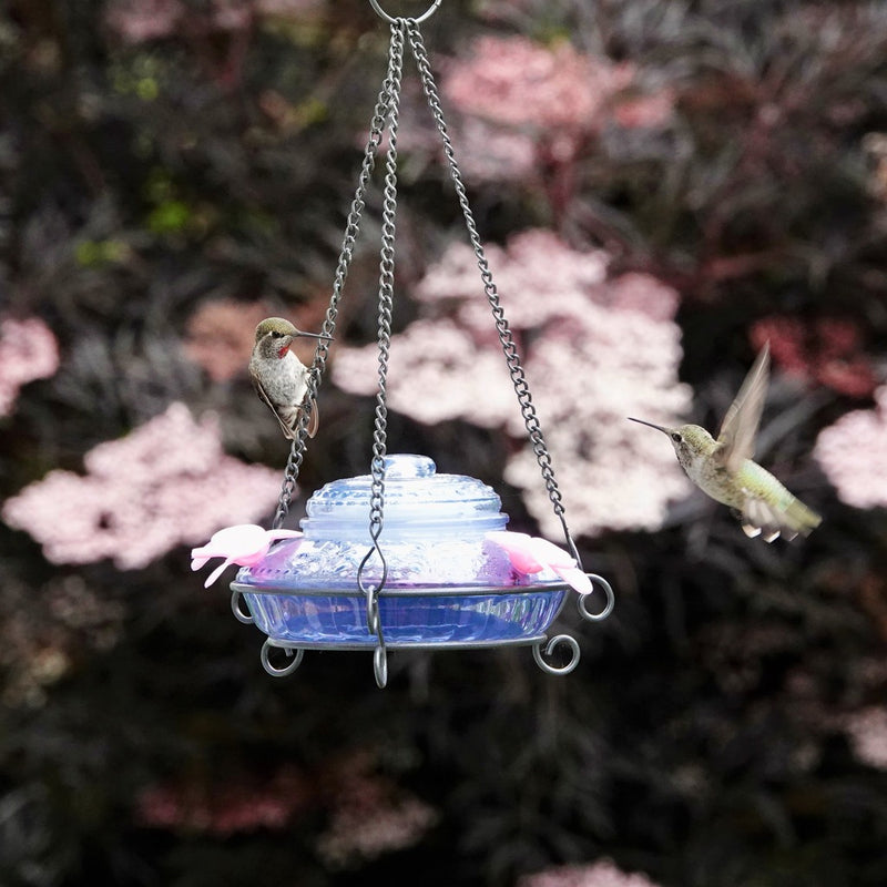 Load image into Gallery viewer, Illuminated Antique Top-Fill Hummingbird Feeder