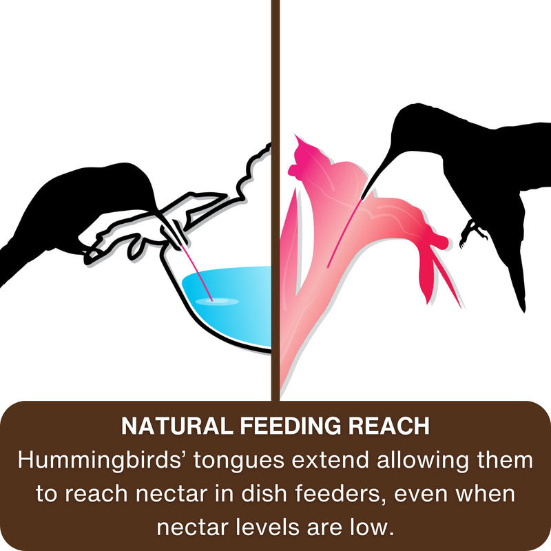 Load image into Gallery viewer, Illuminated Blue Antique Top-Fill Dish Hummingbird Feeder