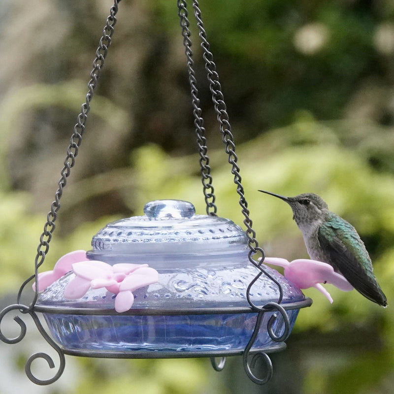 Load image into Gallery viewer, Illuminated Blue Antique Top-Fill Dish Hummingbird Feeder