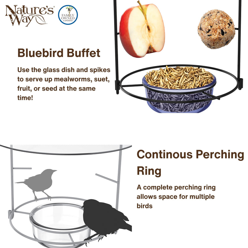 Load image into Gallery viewer, Bluebird Buffet Metal and Glass Bird Feeder with Protective Baffle