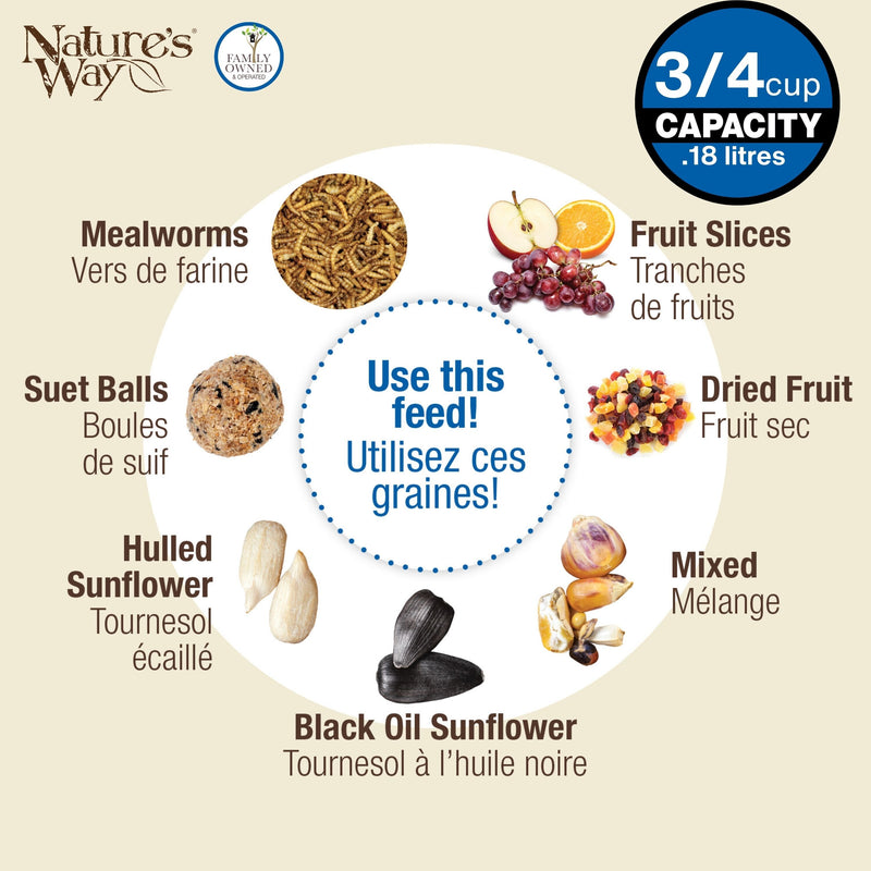 Load image into Gallery viewer, Bluebird Buffet Metal and Glass Bird Feeder with Protective Baffle