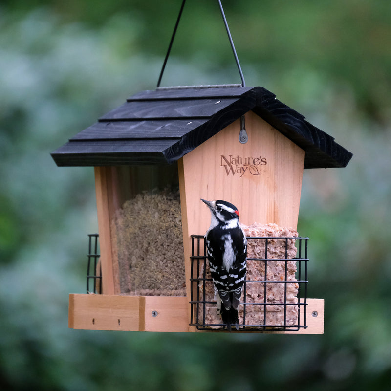 Load image into Gallery viewer, 6 QT Hopper Feeder w/2 Suet Cages (Model# CWF19)
