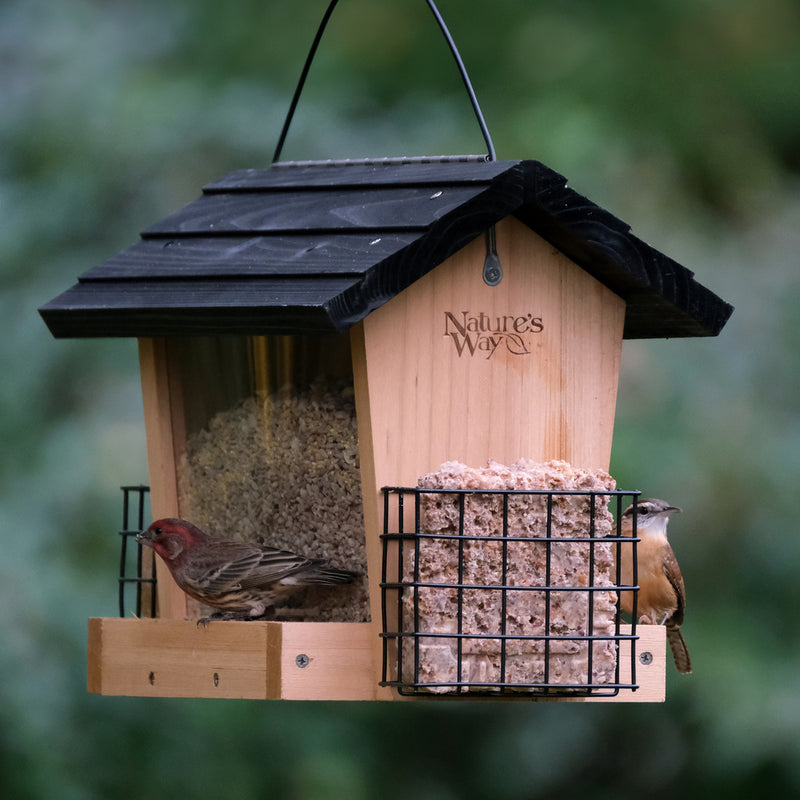 Load image into Gallery viewer, 6 QT Hopper Feeder w/2 Suet Cages