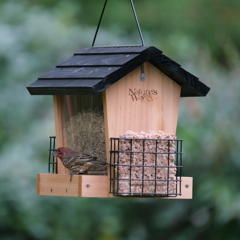 Load image into Gallery viewer, 6 QT Hopper Feeder w/2 Suet Cages