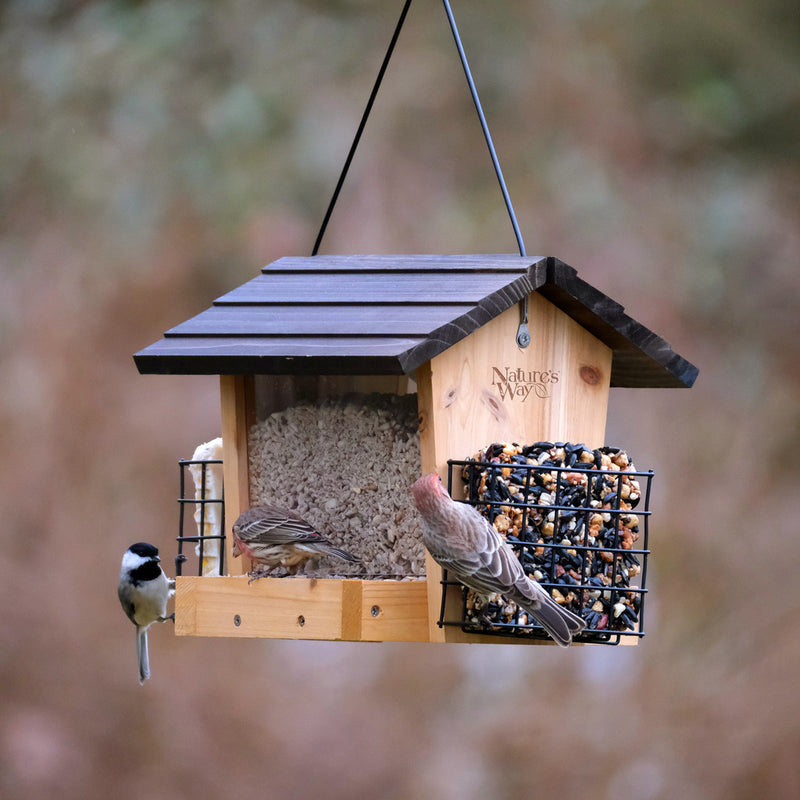 Load image into Gallery viewer, 3 QT Hopper Feeder w/ 2 Suet Cages (Model# CWF28)
