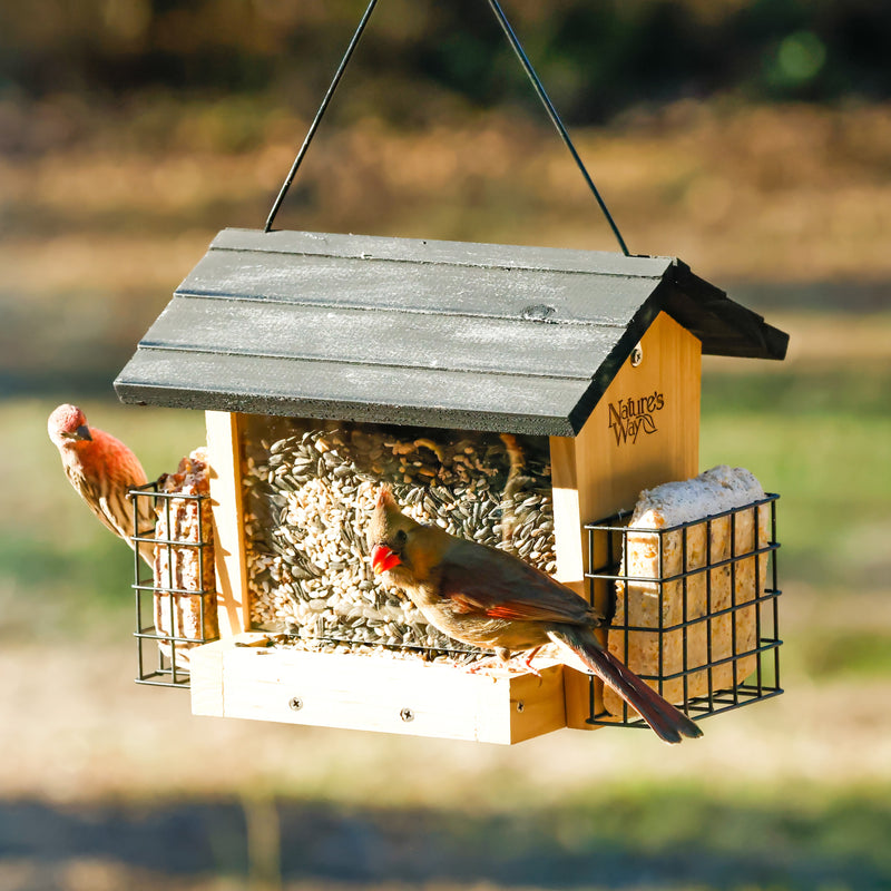 Load image into Gallery viewer, 3 QT Hopper Feeder w/ 2 Suet Cages