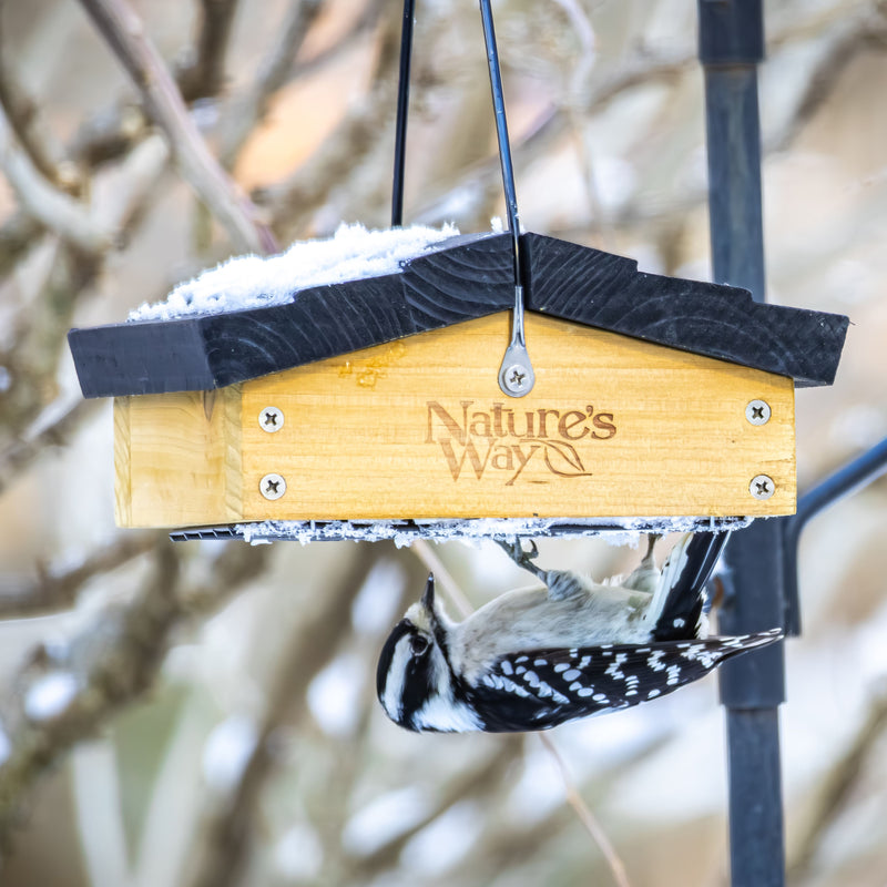 Load image into Gallery viewer, Cedar Upside-Down Suet Feeder