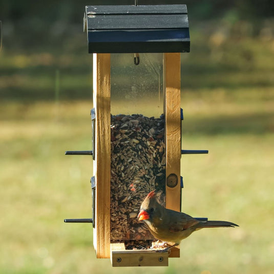 Vertical Wave Feeder