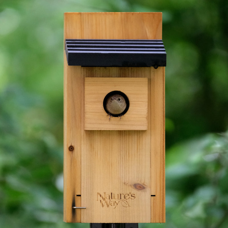 Load image into Gallery viewer, Cedar Bluebird House with Clean-out Door and Predator Guard