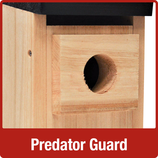 Bluebird Box House