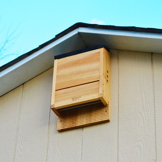 Cedar Triple Chamber Bat House (Model