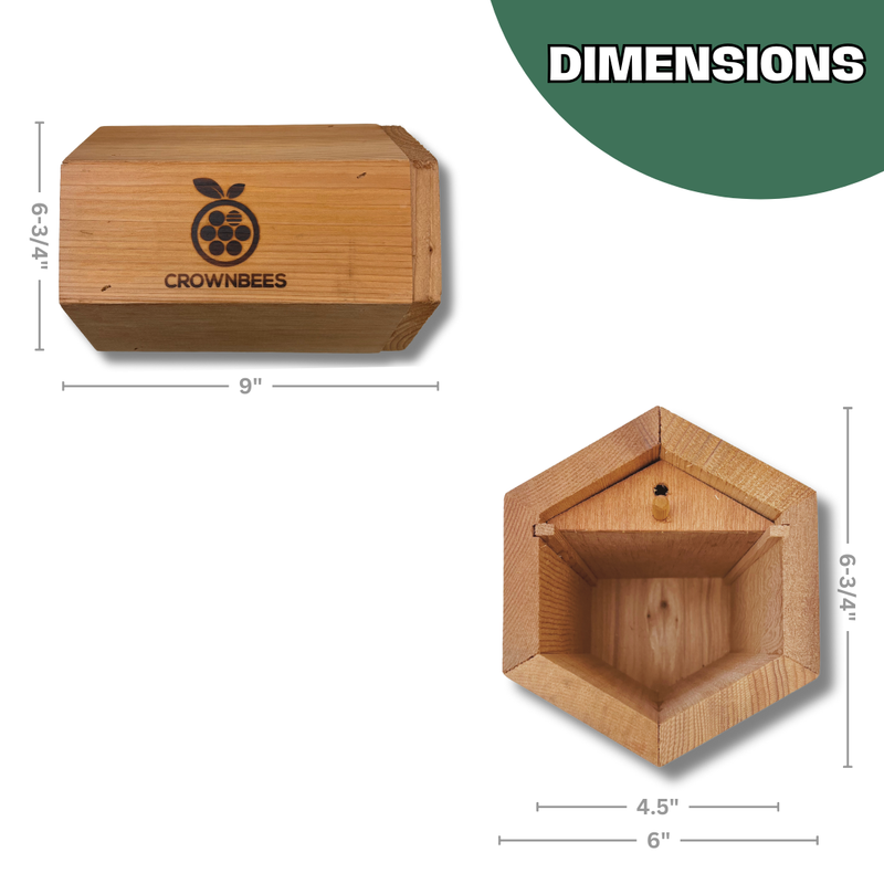 Load image into Gallery viewer, Cabana Bee House - Small Hex