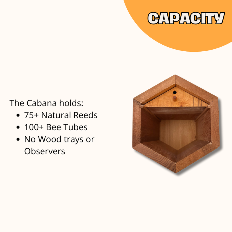 Load image into Gallery viewer, Cabana Bee House & Complete Kit with Bee Certificate
