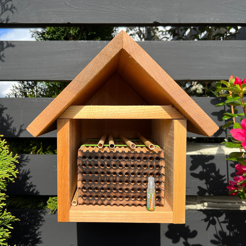 Load image into Gallery viewer, InvitaBee Leafcutter Bee Attractant