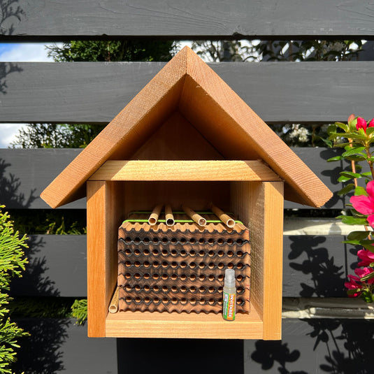InvitaBee Leafcutter Bee Attractant