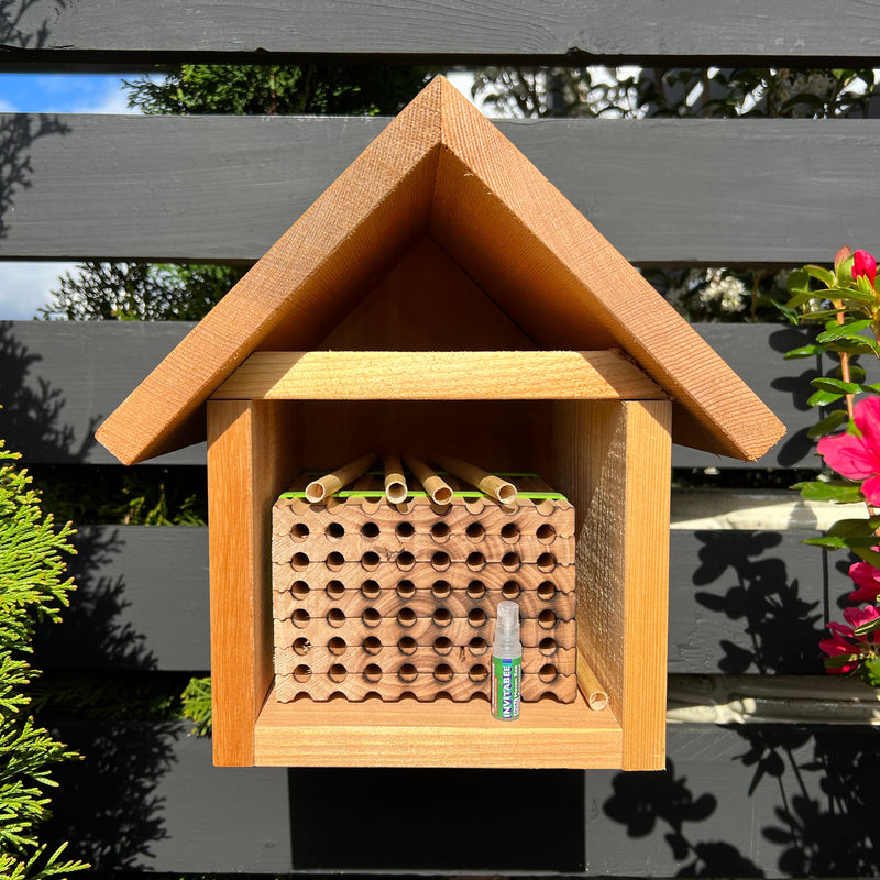 Load image into Gallery viewer, InvitaBee Mason Bee Attractant