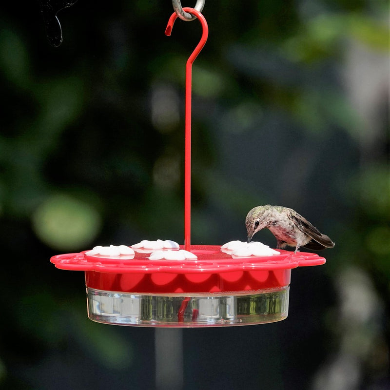 Load image into Gallery viewer, 2-in-1 Plastic Dish Hummingbird Feeder - 13 oz - Red (Model# DDHF0-2N1)
