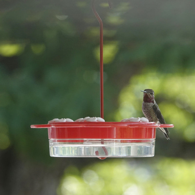 Load image into Gallery viewer, 2-in-1 Plastic Dish Hummingbird Feeder - 13 oz - Red (Model# DDHF0-2N1)
