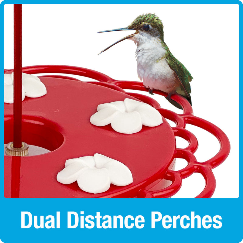 Load image into Gallery viewer, 2-in-1 Plastic Dish Hummingbird Feeder