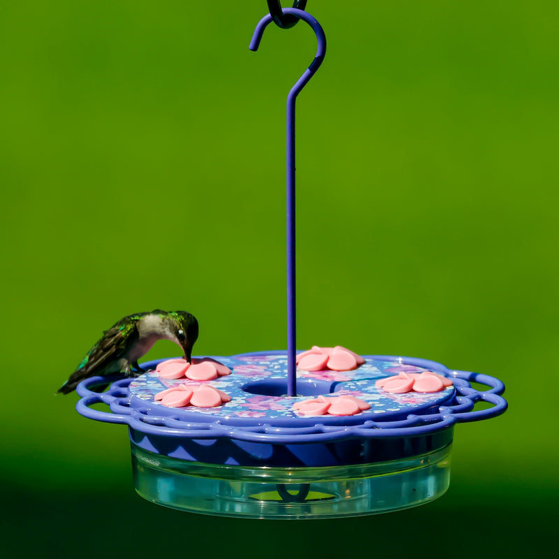 Load image into Gallery viewer, Petunia Passion Plastic Dish Hummingbird Feeder