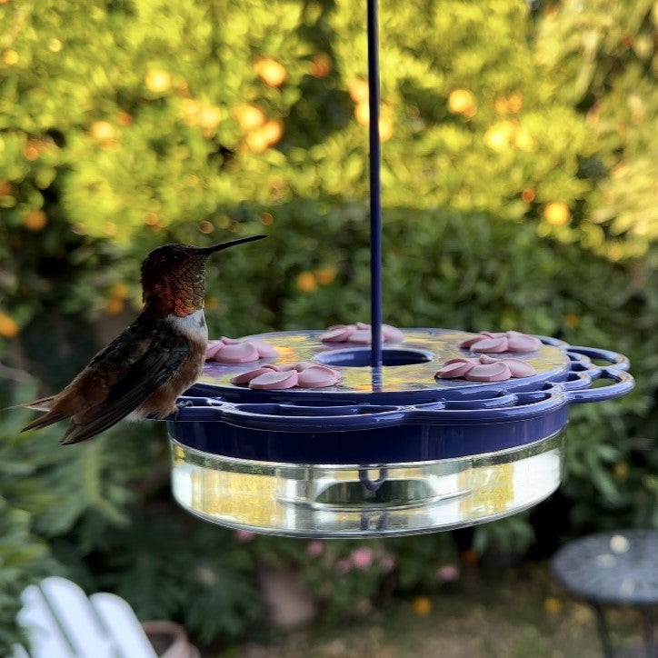 Load image into Gallery viewer, Petunia Passion Plastic Dish Hummingbird Feeder