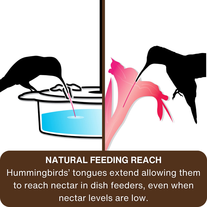 Load image into Gallery viewer, Petunia Passion Plastic Hanging Dish Hummingbird Feeder